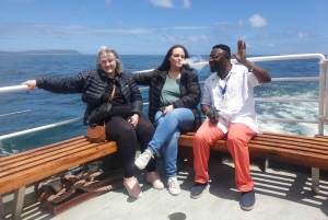 Città del Capo: tour di 2 giorni della penisola del Capo e del Capo Agulhas