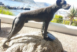 Città del Capo: tour di 2 giorni della penisola del Capo e del Capo Agulhas