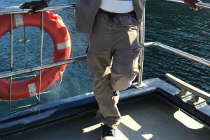 Città del Capo: tour di 2 giorni della penisola del Capo e del Capo Agulhas