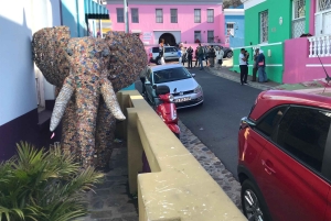 Città del Capo: tour di 2 giorni della penisola del Capo e del Capo Agulhas