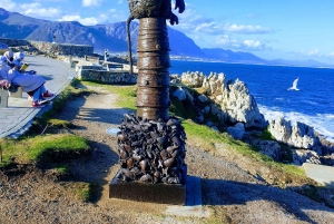 Città del Capo: tour di 2 giorni della penisola del Capo e del Capo Agulhas