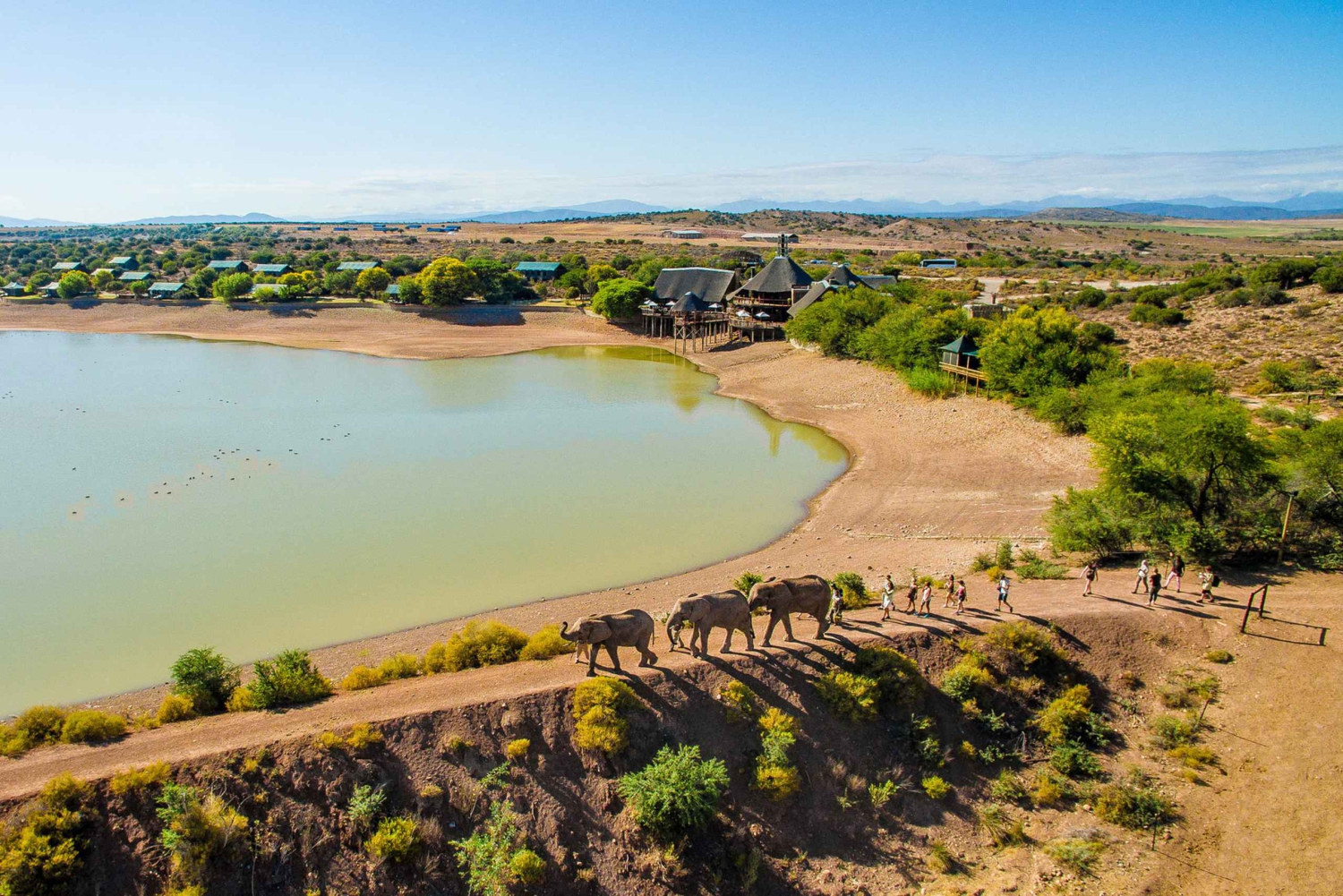 Città del Capo: tour naturalistico di 2 giorni con safari e soggiorno di lusso