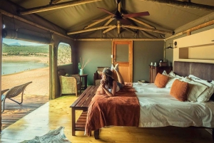 Città del Capo: tour naturalistico di 2 giorni con safari e soggiorno di lusso