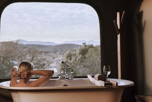 Città del Capo: tour naturalistico di 2 giorni con safari e soggiorno di lusso