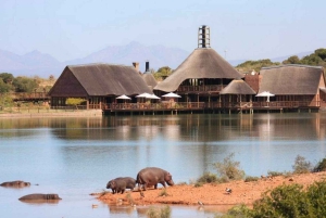 Città del Capo: tour naturalistico di 2 giorni con safari e soggiorno di lusso