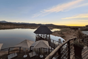 Città del Capo: tour naturalistico di 2 giorni con safari e soggiorno di lusso