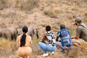 Città del Capo: tour naturalistico di 2 giorni con safari e soggiorno di lusso