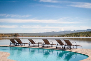 Città del Capo: tour naturalistico di 2 giorni con safari e soggiorno di lusso