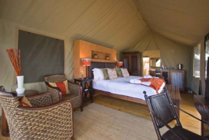 Città del Capo: tour naturalistico di 2 giorni con safari e soggiorno di lusso