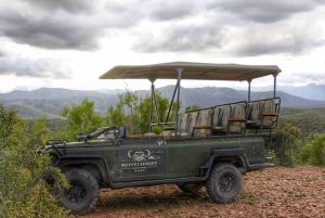 Città del Capo: tour naturalistico di 2 giorni con safari e soggiorno di lusso