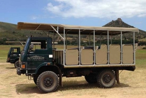 Città del Capo: tour naturalistico di 2 giorni con safari e soggiorno di lusso