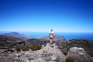 Cape Town: 2-Hour Table Mountain Hike via Platteklip Gorge