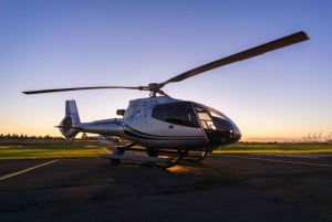 Kapstadt: 2 Oceans Helikopterflug mit Bootstour-Ticket