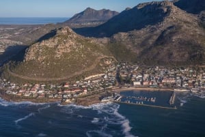 Cape Town: 2 Oceans Helicopter Flight with Boat Tour Ticket