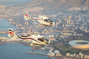 Cape Town: 2 Oceans Helicopter Flight with Boat Tour Ticket