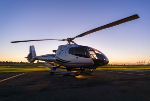 Cape Town: 2 Oceans Helicopter Flight with Boat Tour Ticket