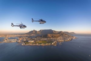 2 Oceans Helicopter Flight with Boat Tour Ticket