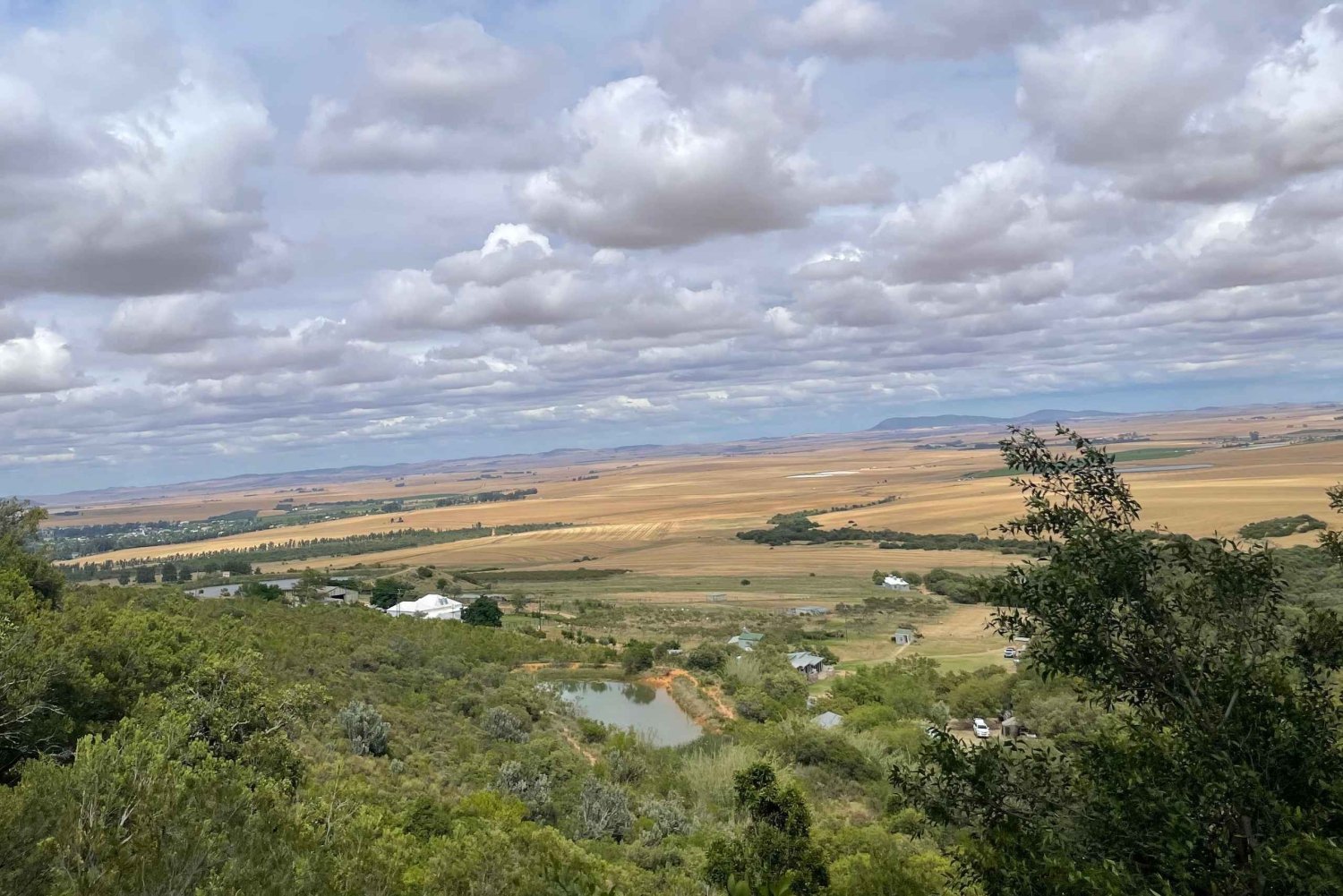 Ciudad del Cabo: ruta de senderismo por 22 cascadas con traslado y guía