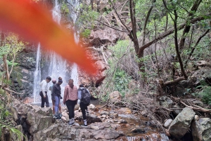 Ciudad del Cabo: ruta de senderismo por 22 cascadas con traslado y guía