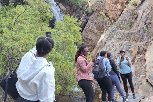 Ciudad del Cabo: ruta de senderismo por 22 cascadas con traslado y guía