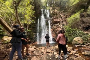 Ciudad del Cabo: ruta de senderismo por 22 cascadas con traslado y guía