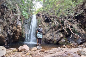 Ciudad del Cabo: ruta de senderismo por 22 cascadas con traslado y guía