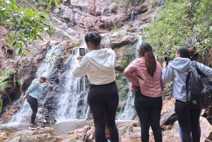 Ciudad del Cabo: ruta de senderismo por 22 cascadas con traslado y guía