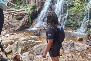Ciudad del Cabo: ruta de senderismo por 22 cascadas con traslado y guía