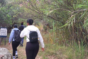 Ciudad del Cabo: ruta de senderismo por 22 cascadas con traslado y guía