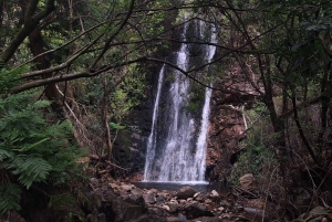 Ciudad del Cabo: ruta de senderismo por 22 cascadas con traslado y guía