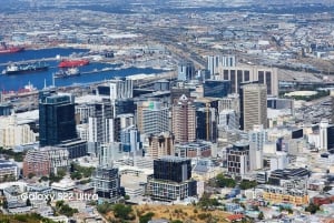 Kapsztad: 3-dniowa wycieczka po mieście, półwyspie i winnicach