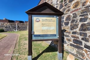 Kapsztad: 3-dniowa wycieczka po mieście, półwyspie i winnicach