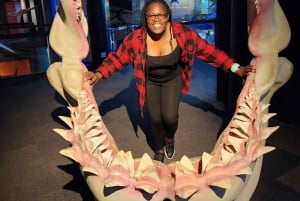 Kapsztad: 3-dniowa wycieczka po mieście, półwyspie i winnicach