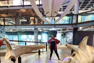 Kapsztad: 3-dniowa wycieczka po mieście, półwyspie i winnicach