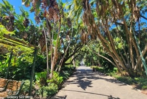 Kapsztad: 3-dniowa wycieczka po mieście, półwyspie i winnicach