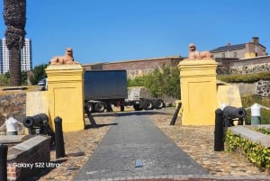 Kapsztad: 3-dniowa wycieczka po mieście, półwyspie i winnicach