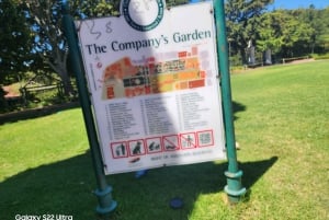 Kapsztad: 3-dniowa wycieczka po mieście, półwyspie i winnicach