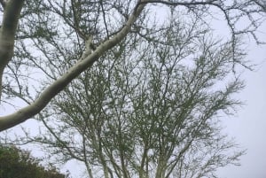 Kapsztad: 3-dniowa wycieczka po mieście, półwyspie i winnicach