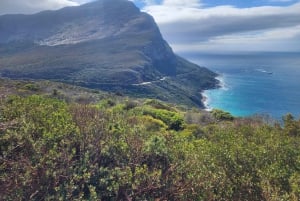 Kapsztad: 3-dniowa wycieczka po mieście, półwyspie i winnicach