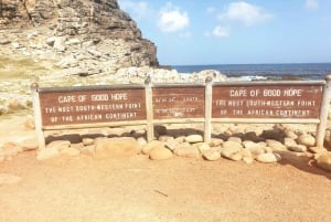 Kapsztad: 3-dniowa wycieczka po mieście, półwyspie i winnicach