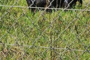 Kapsztad: 3-dniowa wycieczka po mieście, półwyspie i winnicach