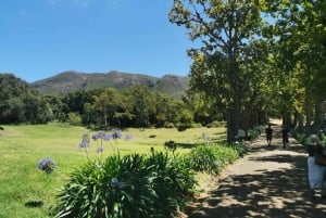 Kapsztad: 3-dniowa wycieczka po mieście, półwyspie i winnicach