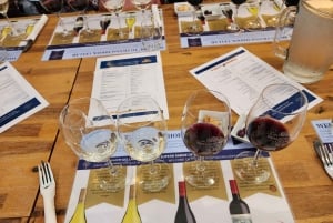 Kapsztad: 3-dniowa wycieczka po mieście, półwyspie i winnicach