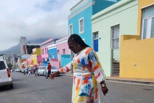 Kapsztad: 3-dniowa wycieczka po mieście, półwyspie i winnicach