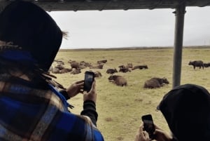 Cape Town: 3-Day Garden Route Safari, Hike, & Kayak Tour