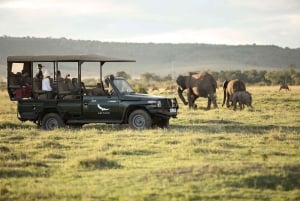 Cape Town: 3-Day Inverdoorn Safari with Accommodation