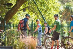Città del Capo: tour in bici di 3 ore