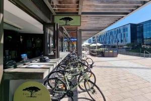 Cape Town: Guided Bike Tour