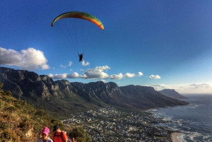 Cape Town: 3-Hour Lion's Head Sunset Hike