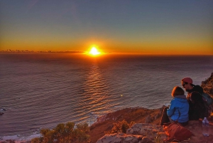 Cape Town: 3-Hour Lion's Head Sunset Hike